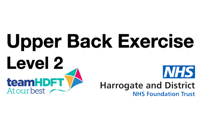 Upper Back Pain Exercise L2